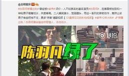致敬演员爆料视频下载,致敬爆料视频深度解析